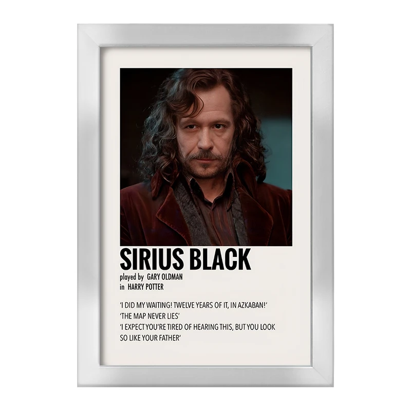 تابلو خندالو طرح سیریوس بلک (Sirius Black) کد F13398