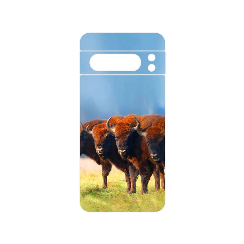 برچسب پوششی ماهوت مدل Buffalo مناسب برای گوشی موبایل گوگل Pixel 8 Pro