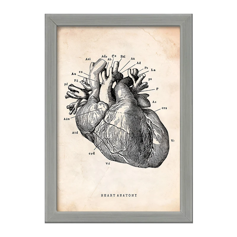 تابلو خندالو طرح آناتومی قلب (Heart Anatomy) کد F13942