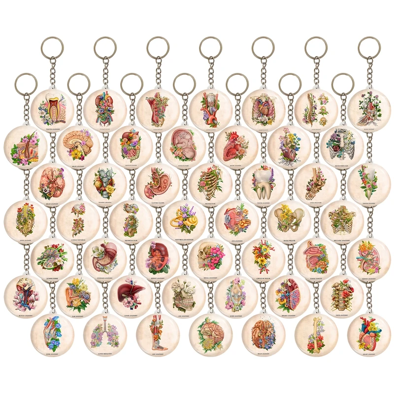 جاکلیدی خندالو مدل آناتومی اعضای بدن انسان کد 190 مجموعه 49 عددی