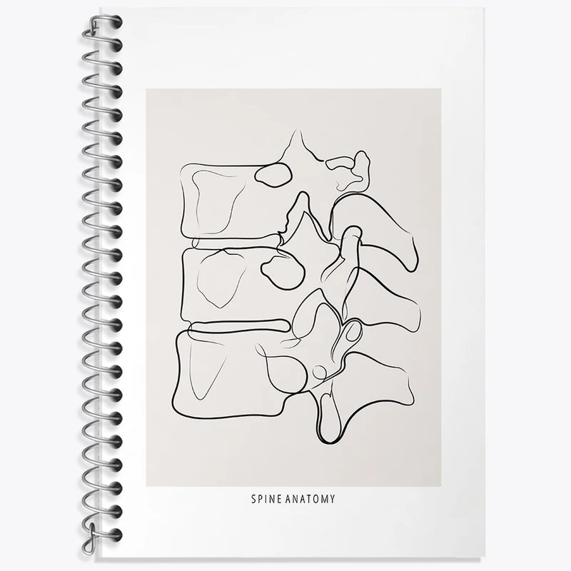 دفتر نت موسیقی 50 برگ خندالو طرح آناتومی ستون فقرات (Spine Anatomy) کد F13910