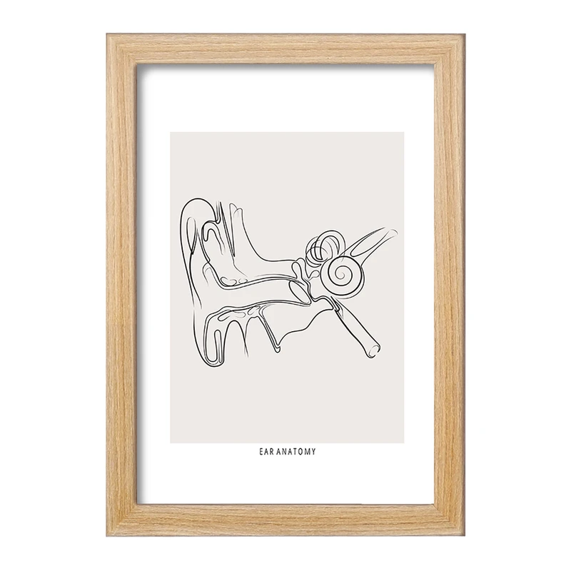 تابلو خندالو طرح آناتومی گوش (Ear Anatomy) کد F13932