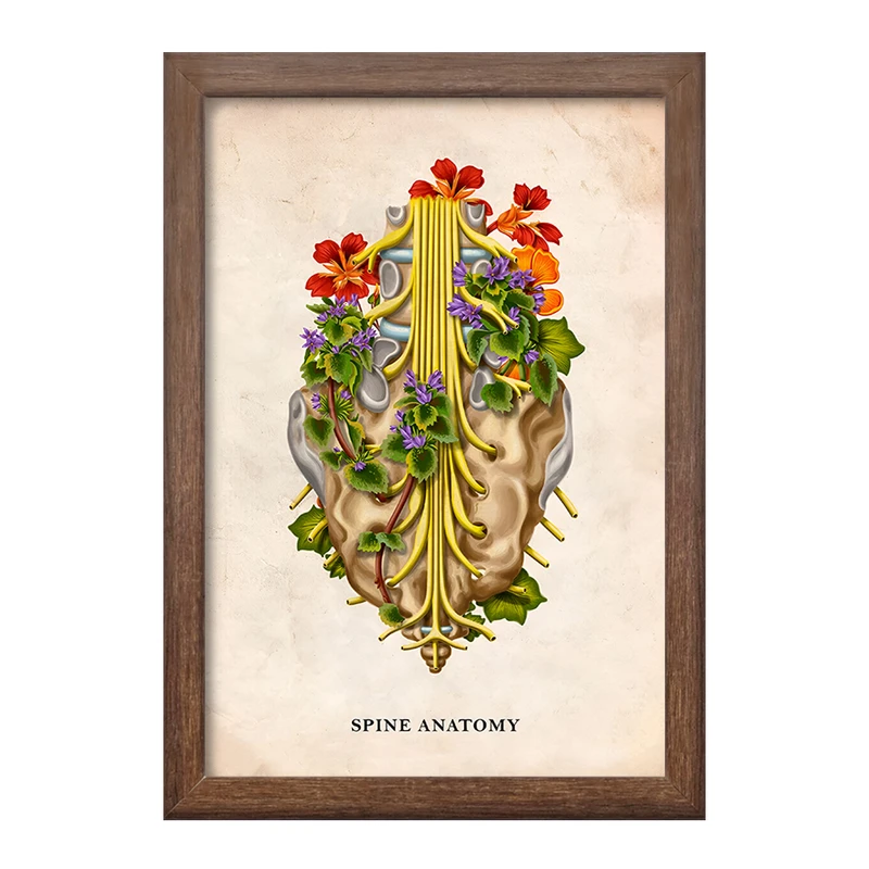 تابلو خندالو طرح آناتومی ستون فقرات (Spine Anatomy) کد F13983