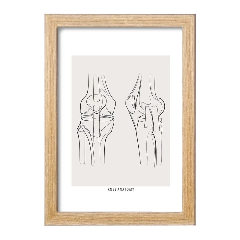 تابلو خندالو طرح آناتومی زانو (knee Anatomy) کد F13916