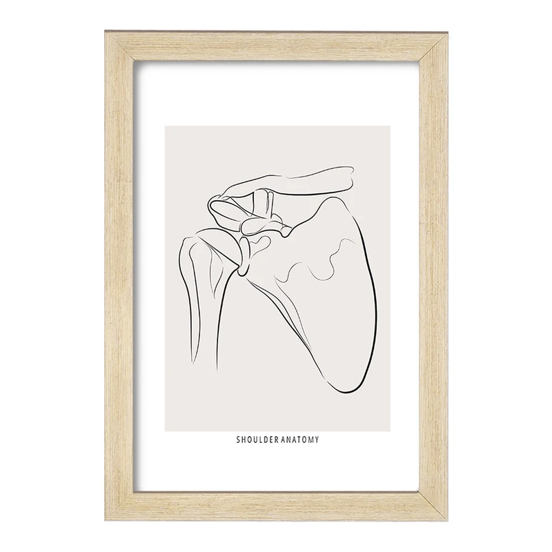 تابلو خندالو طرح آناتومی شانه (Shoulder Anatomy) کد F13915