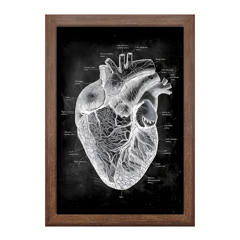 تابلو خندالو طرح آناتومی قلب (Heart Anatomy) کد F13956