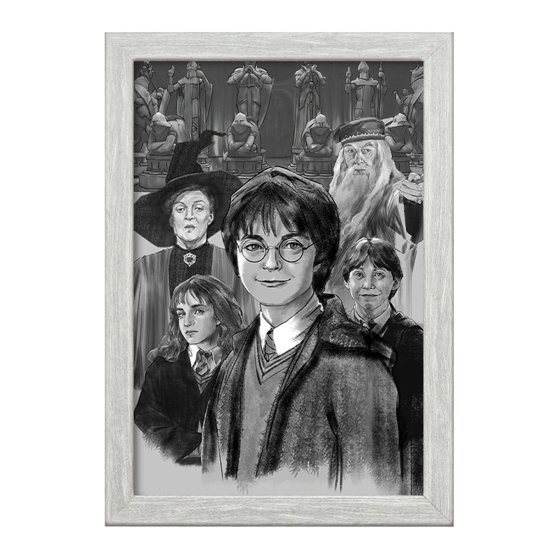 تابلو خندالو طرح هری پاتر (Harry Potter) کد F869