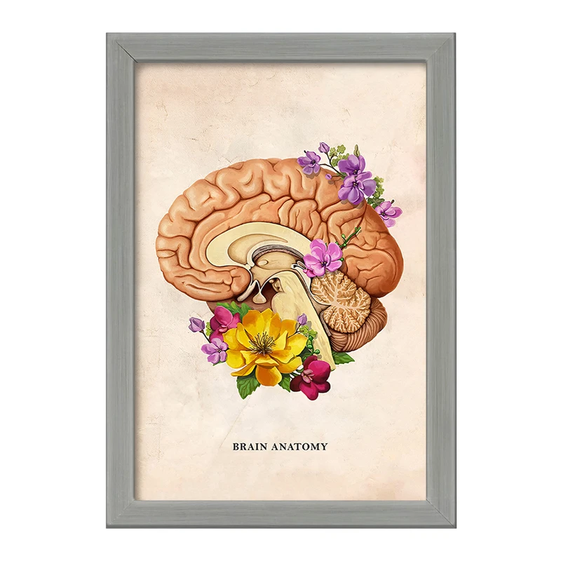 تابلو خندالو طرح آناتومی مغز (Brain Anatomy) کد F13970