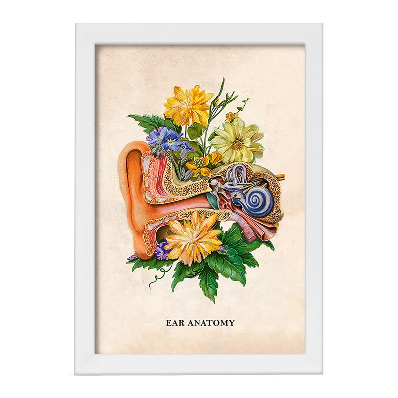 تابلو خندالو طرح آناتومی گوش (Ear Anatomy) کد F14021