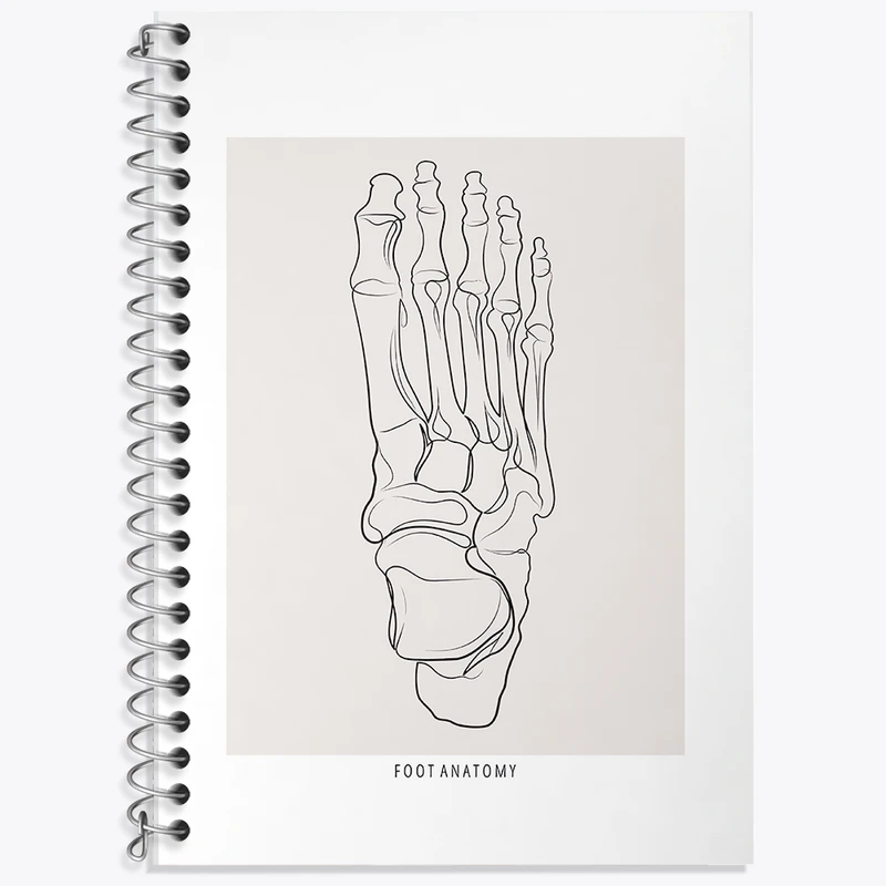 دفتر نت موسیقی 50 برگ خندالو طرح آناتومی پا (Foot Anatomy) کد F13921