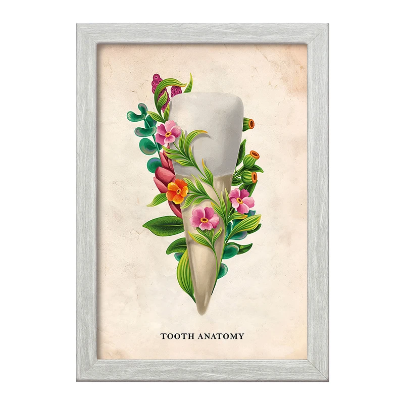 تابلو خندالو طرح آناتومی دندان (Tooth Anatomy) کد F13982