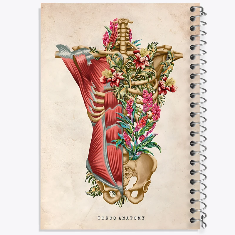 دفتر نقاشی 50 برگ خندالو طرح آناتومی تروسو (Troso System) کد F13964
