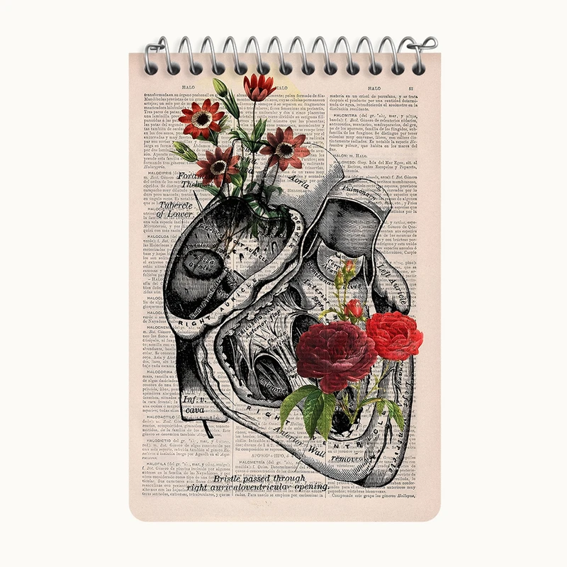 دفتر یادداشت 50 برگ خندالو طرح آناتومی قلب (Heart Anatomy) کد F14035