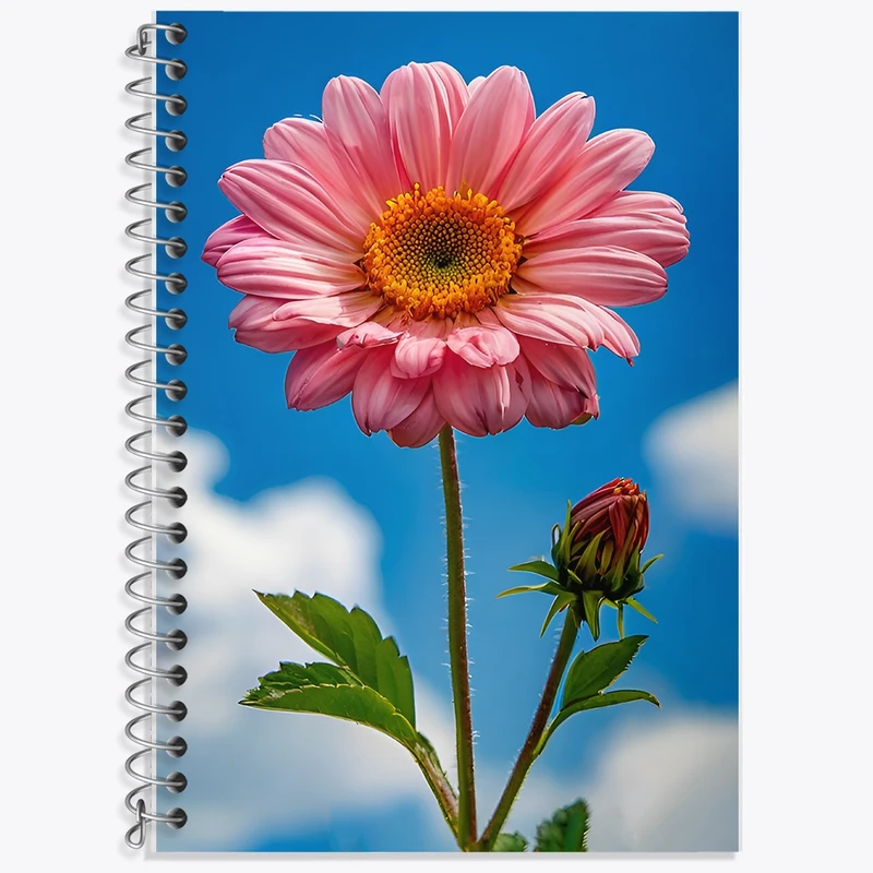دفتر زبان 50 برگ خندالو مدل سه خط طرح گل داوودی کد F12034