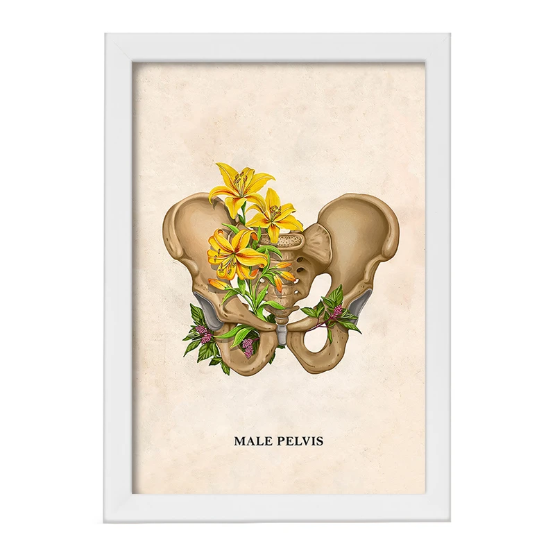 تابلو خندالو طرح آناتومی لگن (Pelvis Anatomy) کد F13999