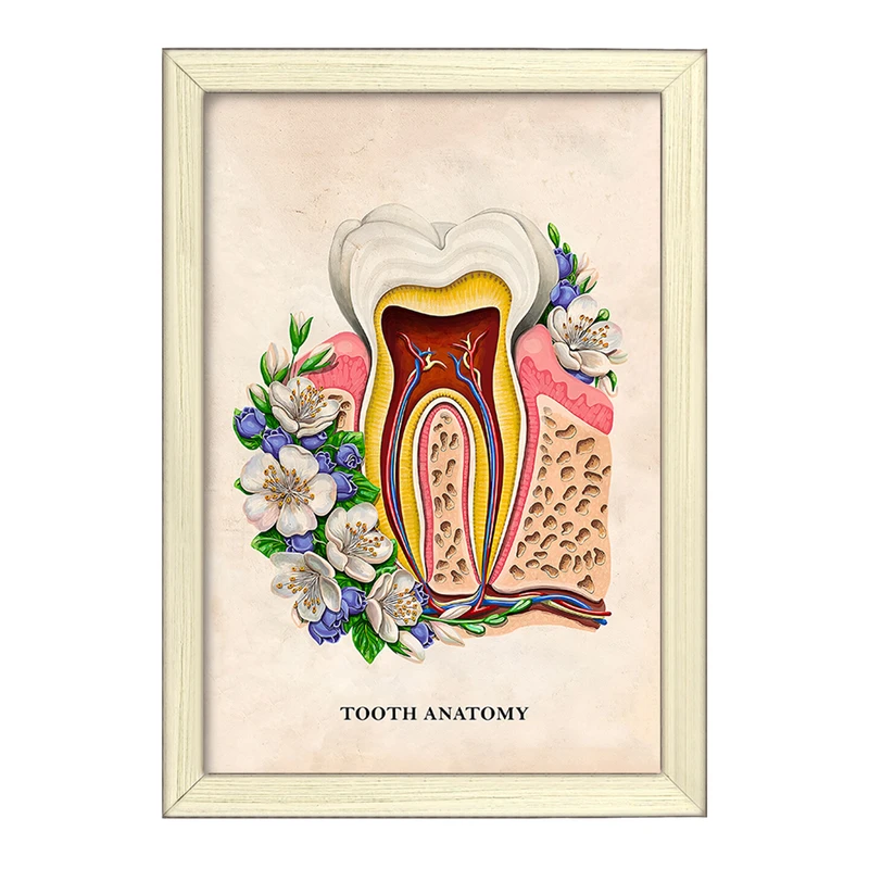 تابلو خندالو طرح آناتومی دندان (Tooth Anatomy) کد F14012