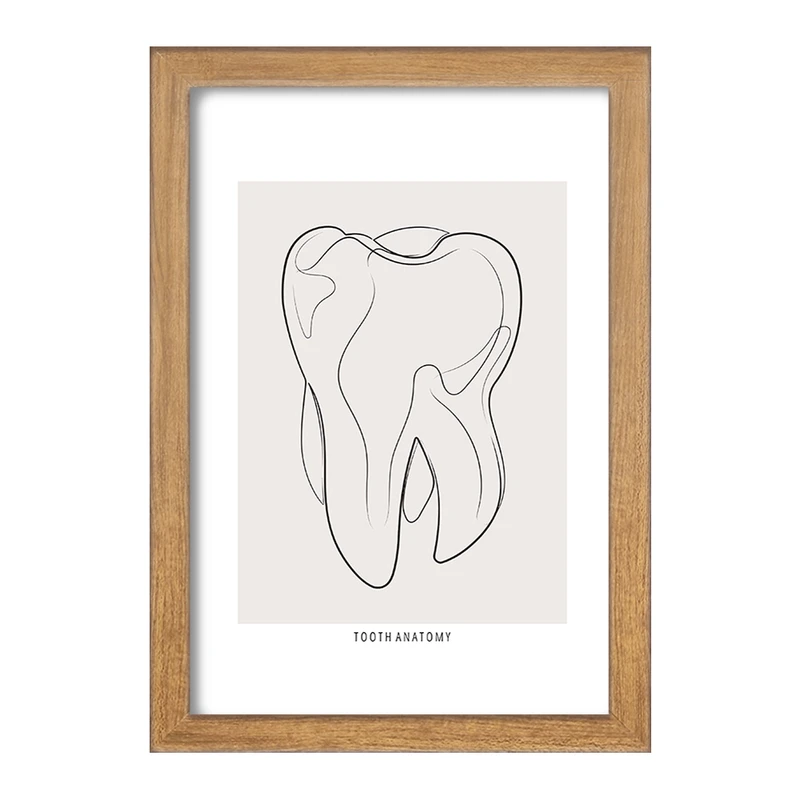 تابلو خندالو طرح آناتومی دندان (Tooth Anatomy) کد F13936