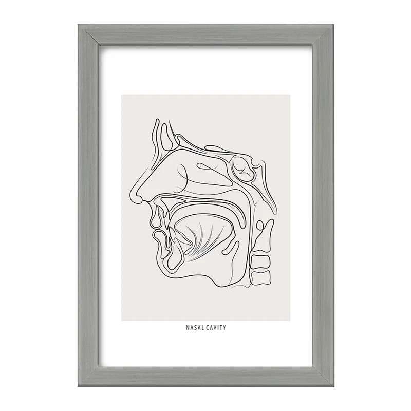 تابلو خندالو طرح حفره بینی (Nasal Cavity) کد F13931