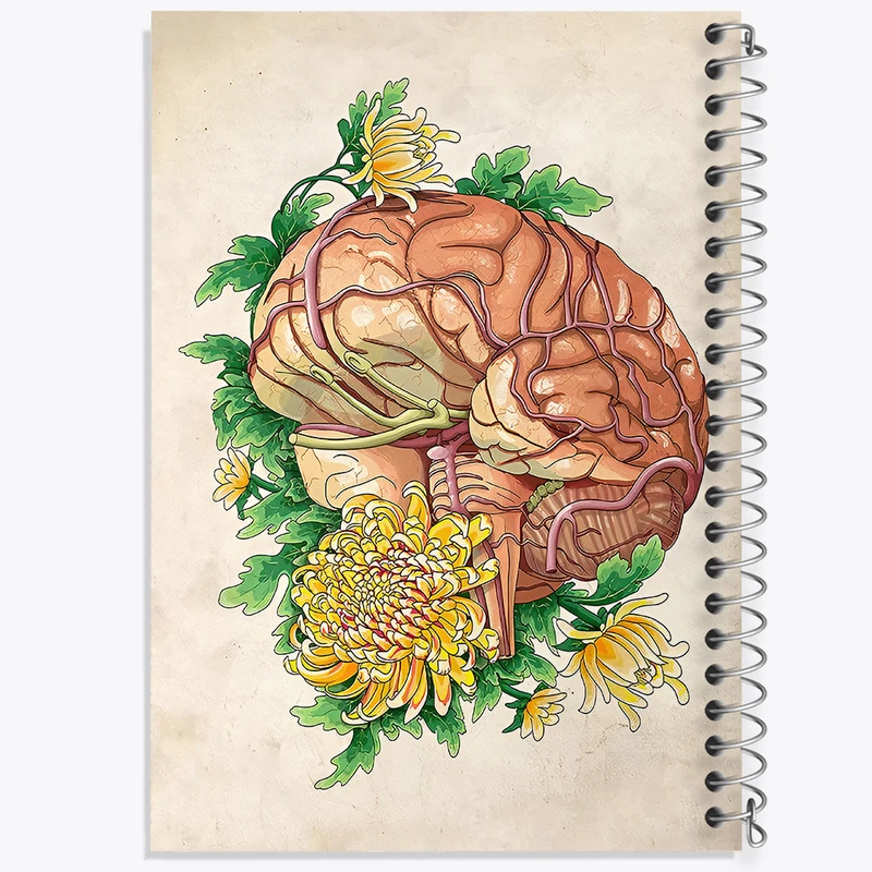 دفتر مشق 50 برگ خندالو طرح آناتومی مغز (Brain Anatomy) کد F13997