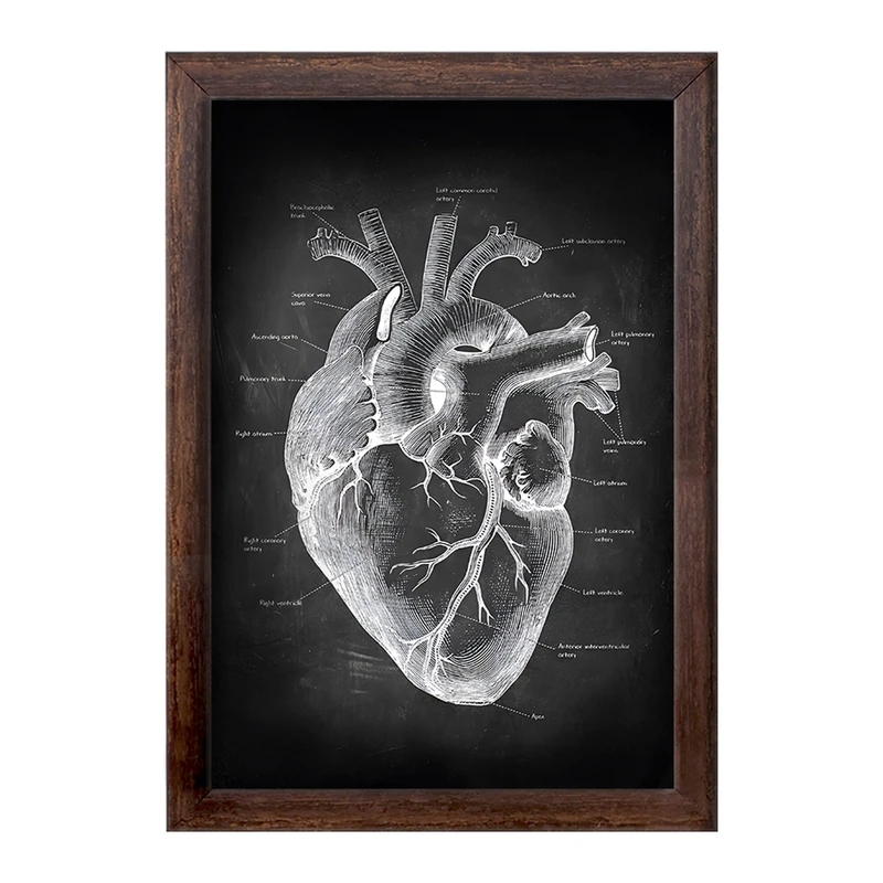 تابلو خندالو طرح آناتومی قلب (Heart Anatomy) کد F13957
