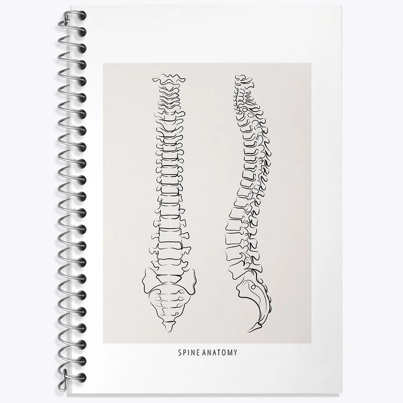 دفتر زبان دوخط 50 برگ خندالو طرح آناتومی ستون فقرات (Spine Anatomy) کد F13909