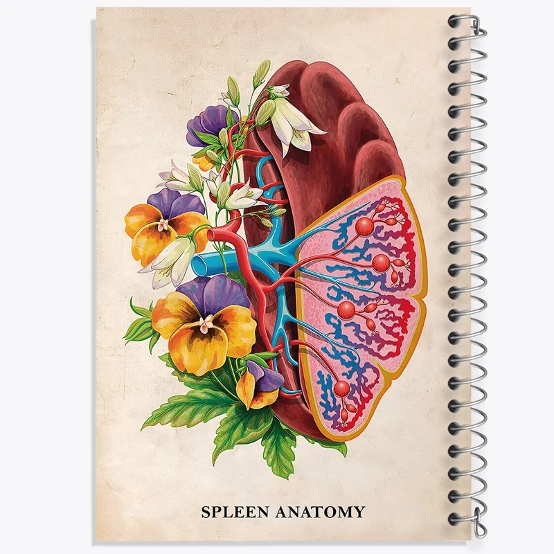 دفتر شطرنجی 50 برگ خندالو طرح آناتومی طحال (Spleen Anatomy) کد F13996