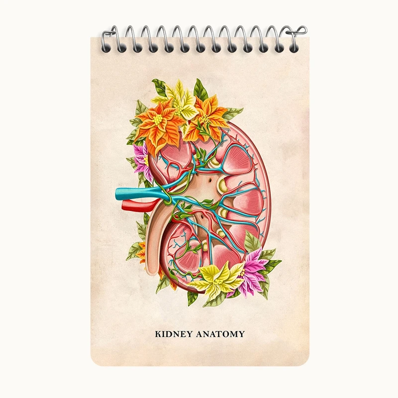 دفتر یادداشت 50 برگ خندالو طرح آناتومی کلیه (kidney Anatomy) کد F14005