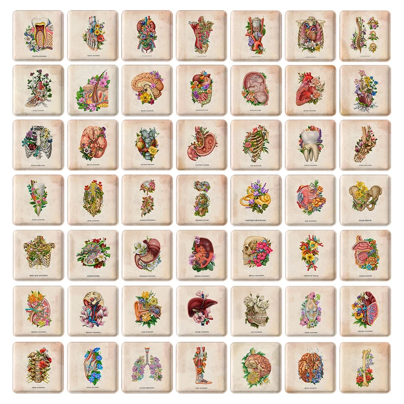 مگنت خندالو طرح آناتومی اعضای بدن انسان کد 190 مدل مربعی مجموعه 49 عددی