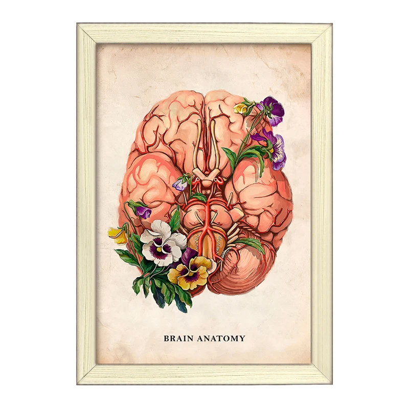 تابلو خندالو طرح آناتومی مغز (Brain Anatomy) کد F13976