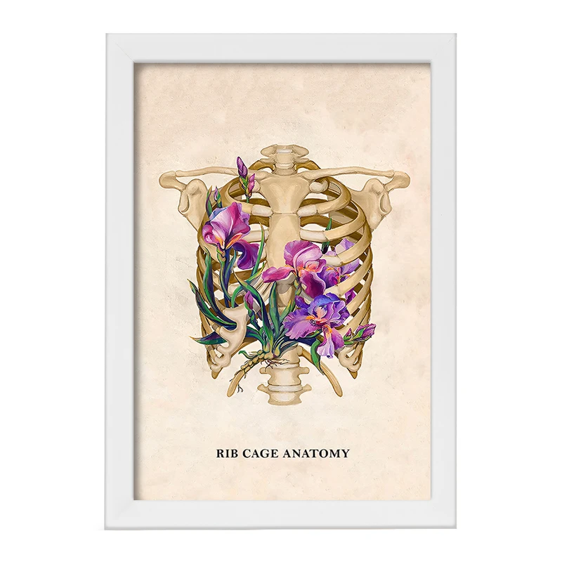 تابلو خندالو طرح آناتومی قفسه سینه (Rib Cage Anatomy) کد F14029