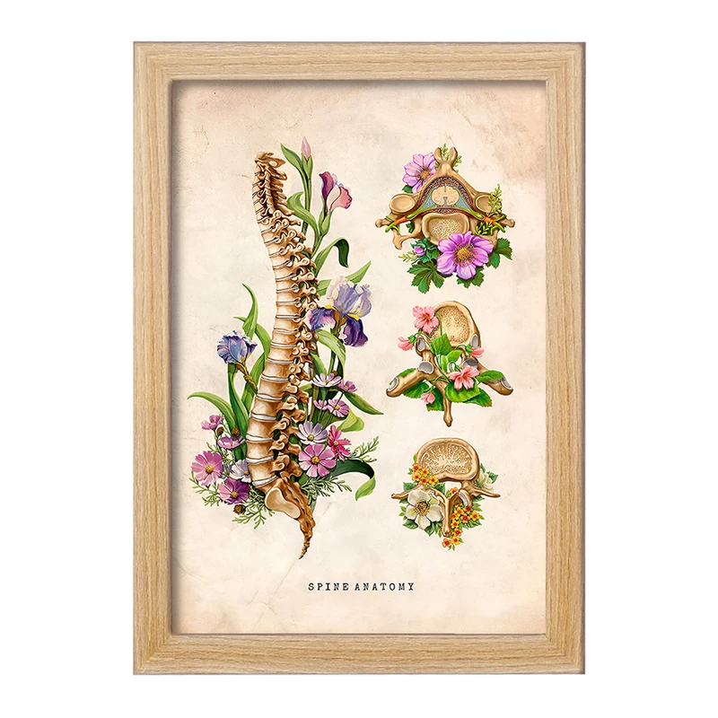 تابلو خندالو طرح آناتومی ستون فقرات (Spine Anatomy) کد F13967