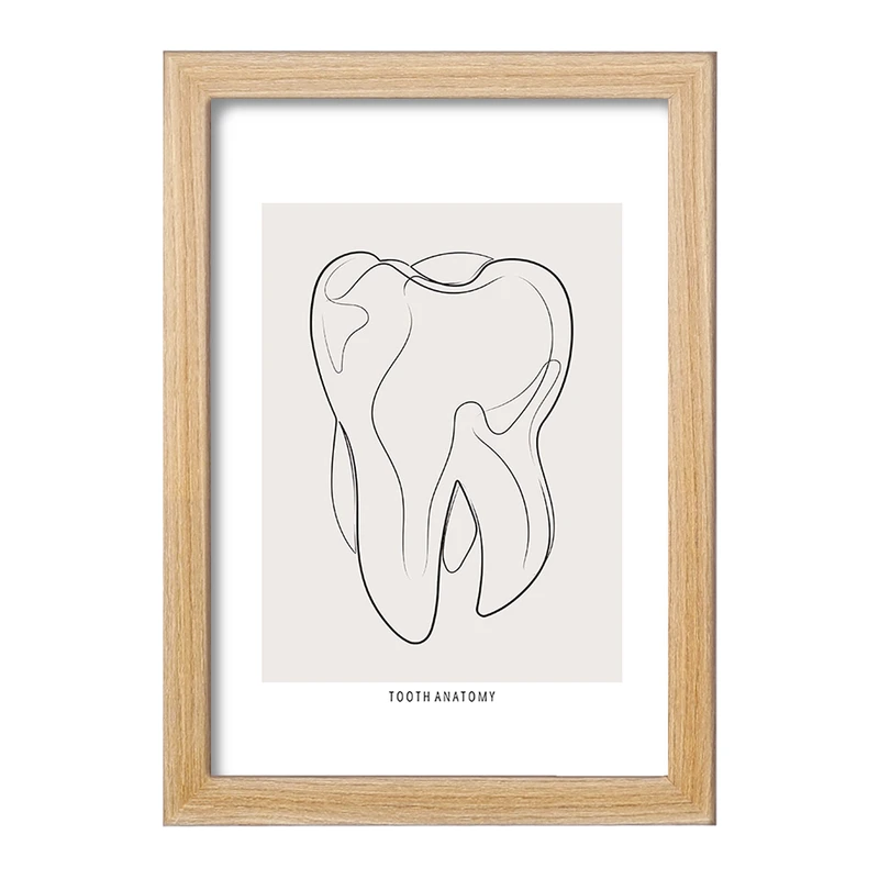 تابلو خندالو طرح آناتومی دندان (Tooth Anatomy) کد F13936