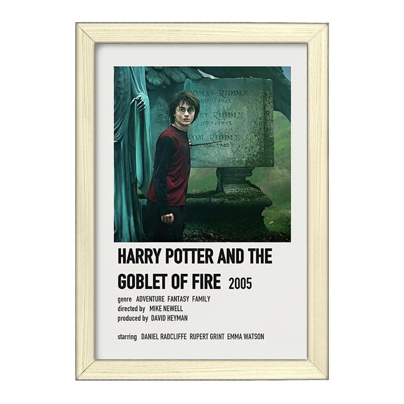 تابلو خندالو طرح هری پاتر (Harry Potter) کد F13405