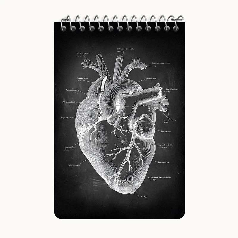 دفتر یادداشت 50 برگ خندالو طرح آناتومی قلب (Heart Anatomy) کد F13957