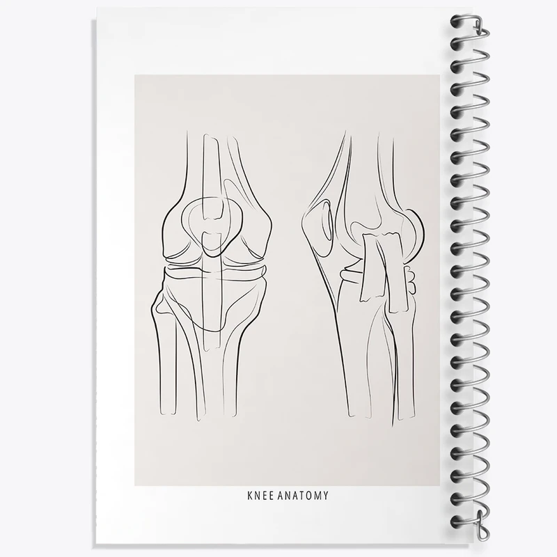 دفتر لیست خرید 50 برگ خندالو طرح آناتومی زانو (knee Anatomy) کد F13916