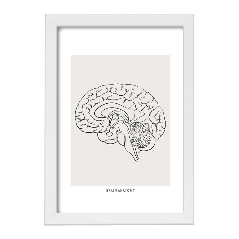تابلو خندالو طرح آناتومی مغز (Brain Anatomy) کد F13891