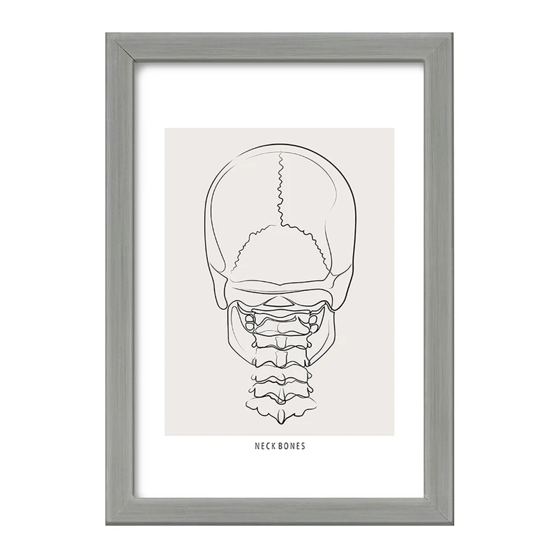 تابلو خندالو طرح آناتومی اسکلت سر از پشت کد F13895