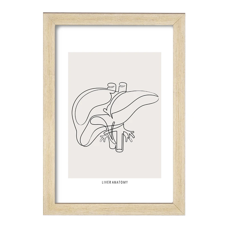 تابلو خندالو طرح آناتومی کبد (Liver anatomy) کد F13900