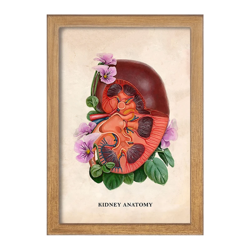 تابلو خندالو طرح آناتومی کلیه (kidney Anatomy) کد F14011