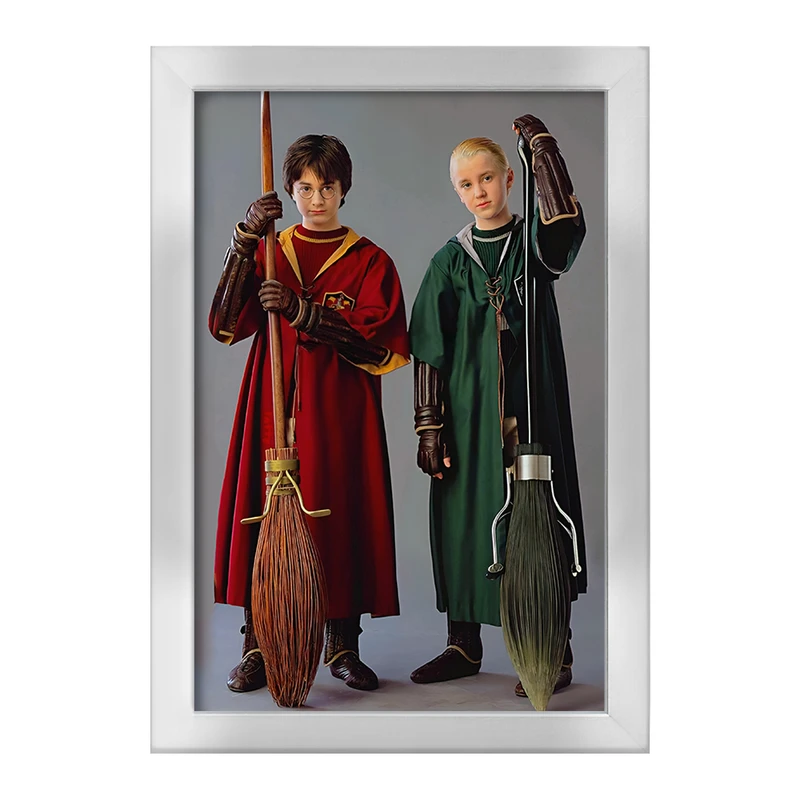 تابلو خندالو طرح هری پاتر (Harry Potter) کد F6005