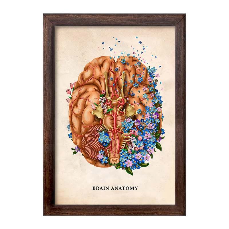 تابلو خندالو طرح آناتومی مغز (Brain Anatomy) کد F14008