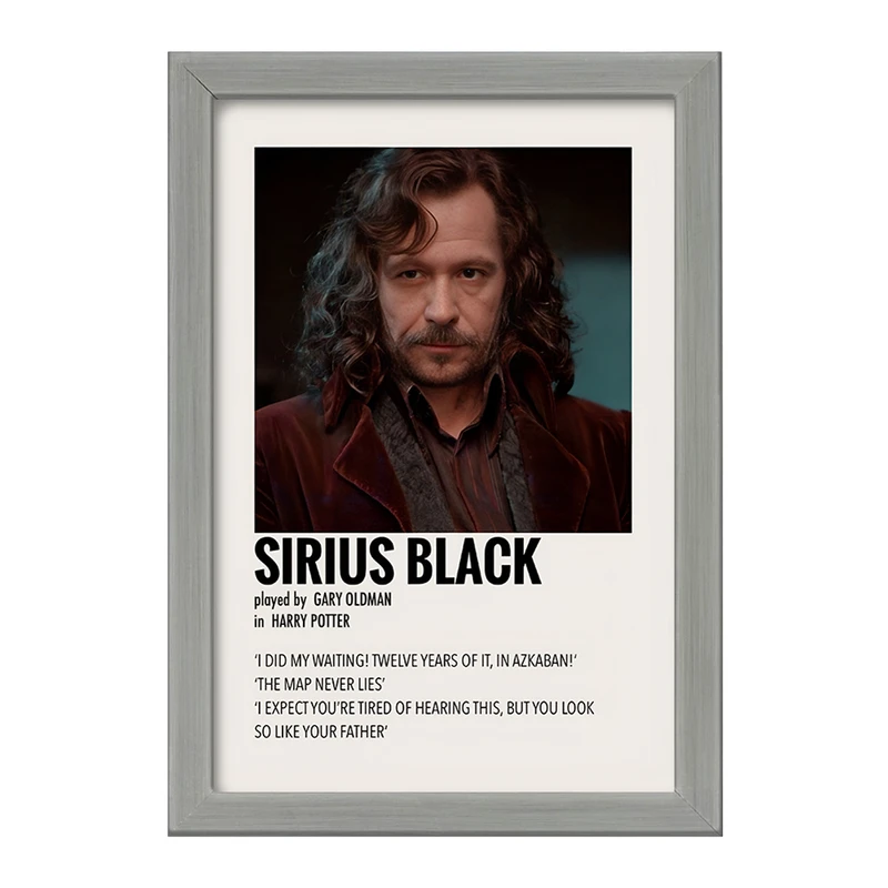 تابلو خندالو طرح سیریوس بلک (Sirius Black) کد F13398