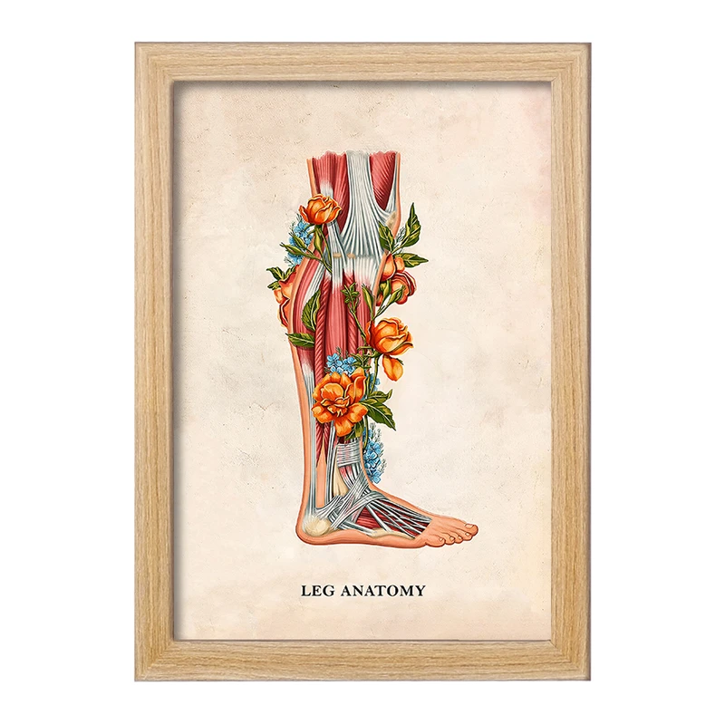 تابلو خندالو طرح آناتومی پا (Foot Anatomy کد F14015