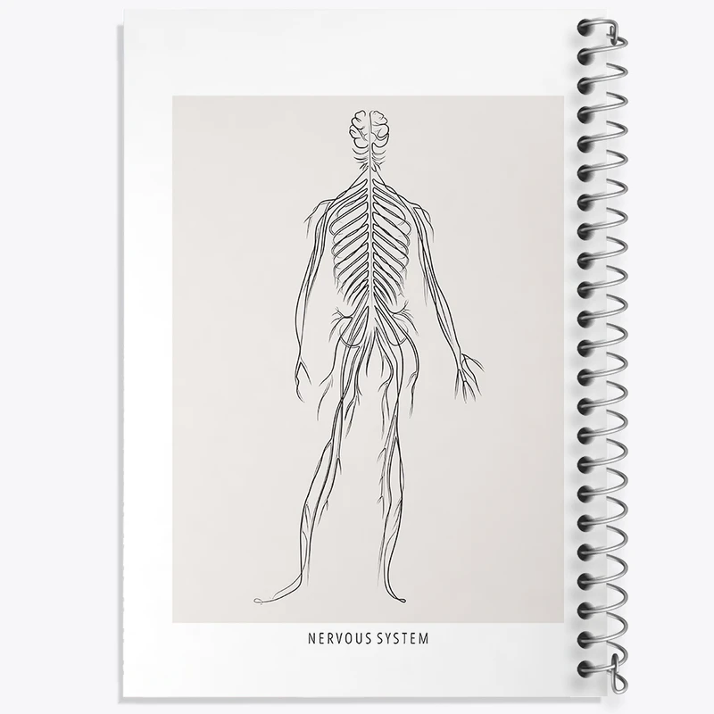 دفتر شطرنجی 50 برگ خندالو طرح سیستم عصبی (Nervous System) کد F13922