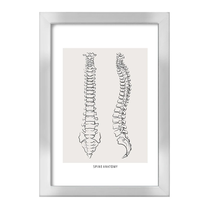 تابلو خندالو طرح آناتومی ستون فقرات (Spine Anatomy) کد F13909