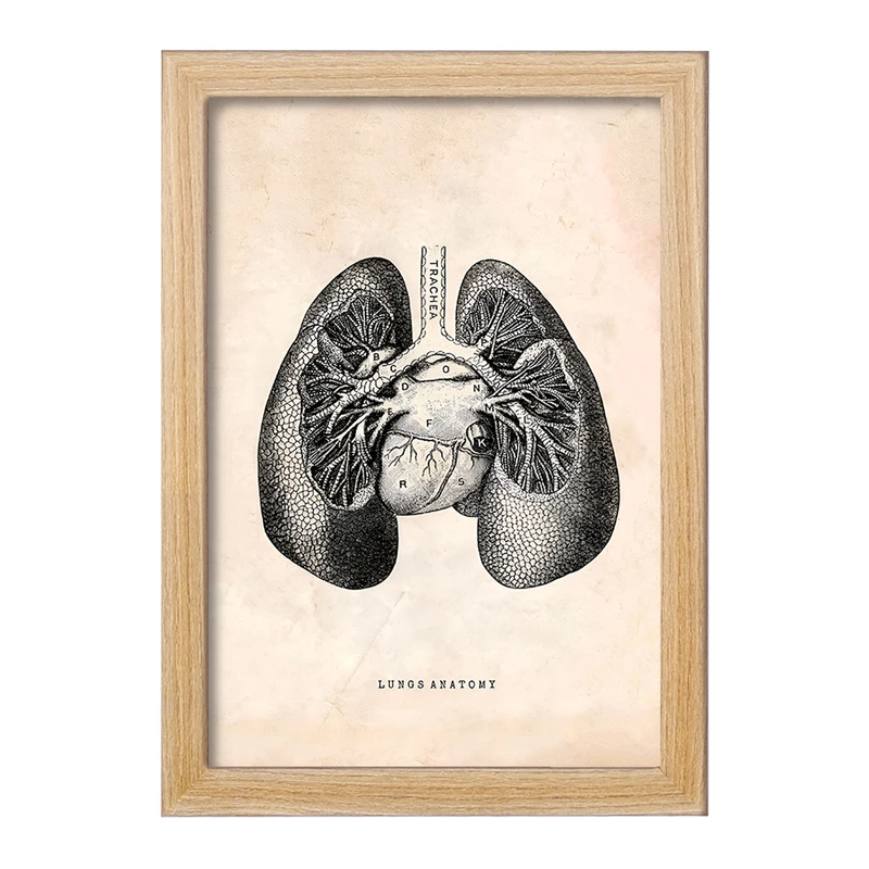 تابلو خندالو طرح آناتومی ریه ها (Lungs Anatomy) کد F13949