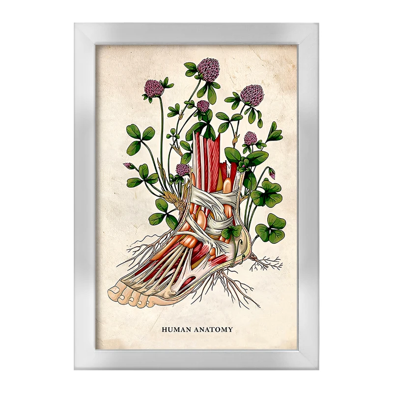 تابلو خندالو طرح آناتومی پا (Foot Anatomy) کد F13968