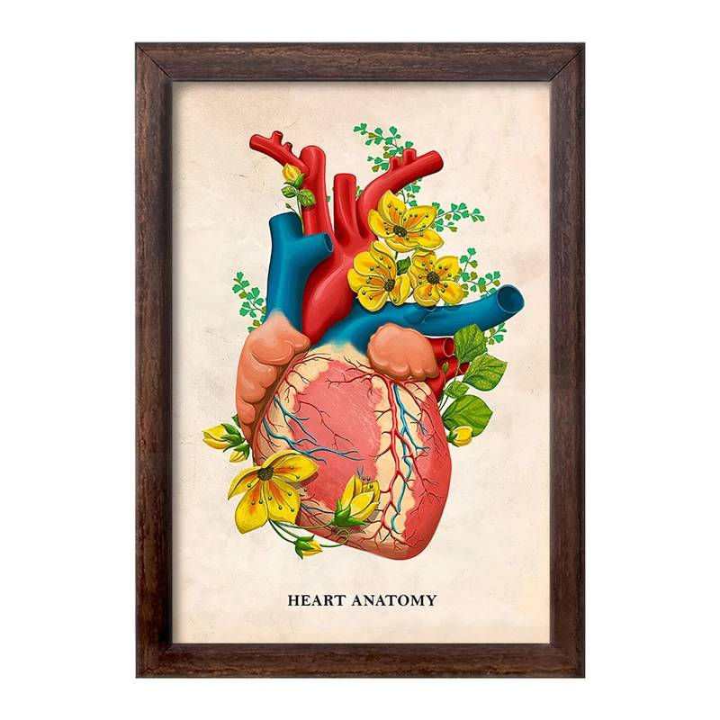 تابلو خندالو طرح آناتومی قلب (Heart Anatomy) کد F14016
