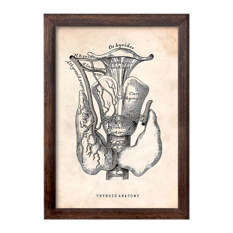 تابلو خندالو طرح آناتومی تیروئید (Thyroid Anatomy) کد F13953