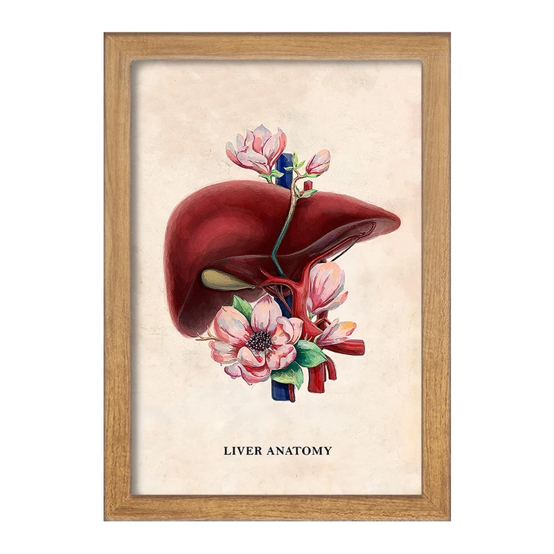 تابلو خندالو طرح آناتومی کبد (Liver anatomy) کد F14027